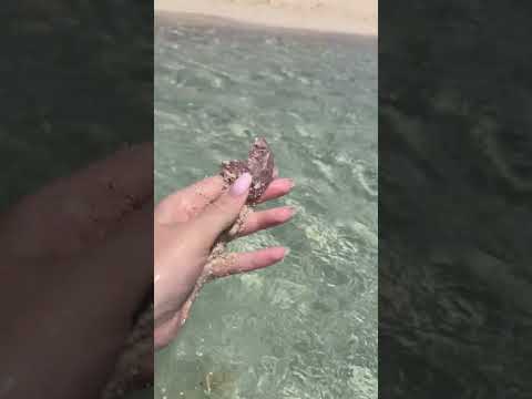 море