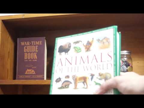 ASMR Organizing my new bookshelf (no talking) (white noise)