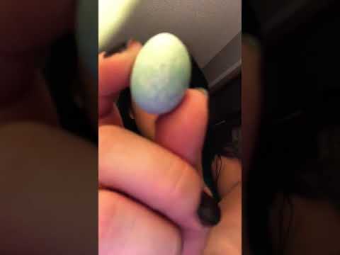 Tapping on My Purses ASMR