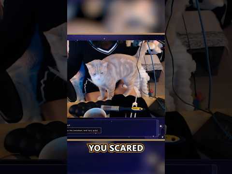 ASMR Stream Fails | Sulkycats and Harray the Cat!