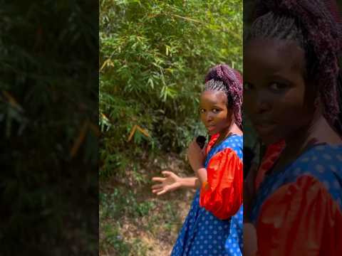 ASMR Deep Whispered African Outdoors Triggers for Instant Sleep & Relaxation 🌙✨ #relaxingsound