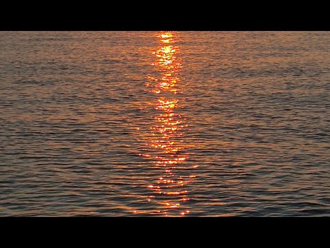 You Are The Success✨️ The Glory is Here and Now☀️ Divinely Channelled Message🪽