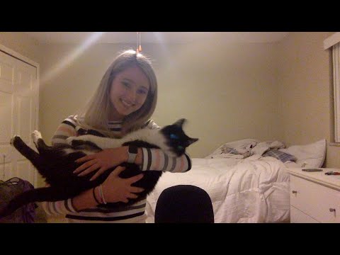 Chill Livestream, lets chat!