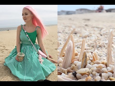 Back to Basics: Beach Memories (ASMR soft spoken/waves/birds/stones)