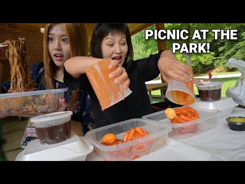 PICNIC AT THE PARK! BLACK BEAN NOODLES + TTEOKBOKKI + FRIED CHICKEN MUKBANG 먹방