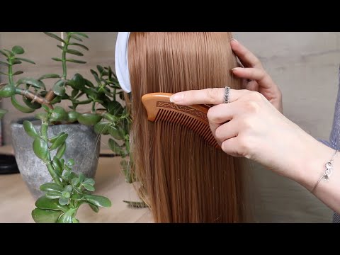 ASMR Hair Brushing (No Talking)