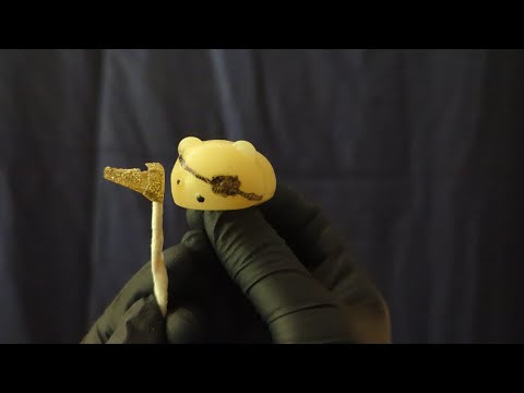 ASMR - Ear Cleaning and Evaluation at the Sticky Guy Medical Center