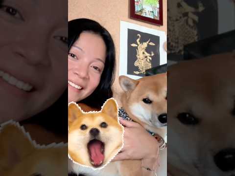 BTS! I was editing the last video, but Mr Dangao wanted attention✨🐕 #behindthescenes #asmr #editing