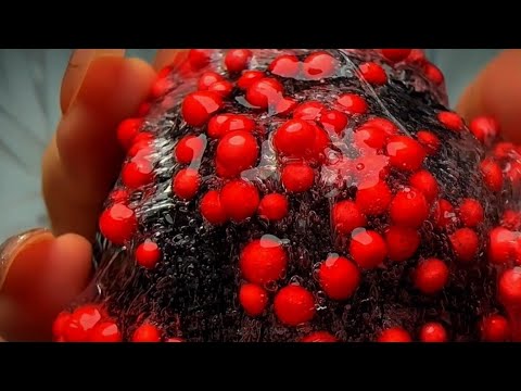 ASMR for Those People Who Need to Fast Mic Triggers Right Now👍
