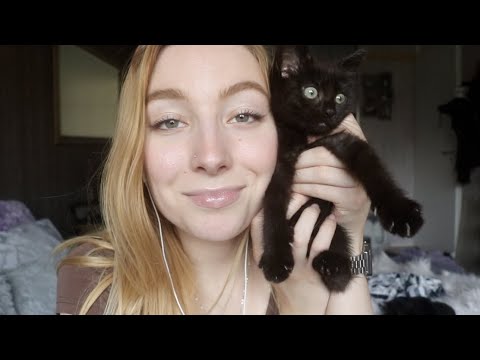 5 Minute Kitten ASMR 🐱🖤