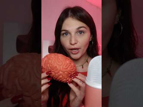 On va voir si t’es bête ou pas ! #asmr