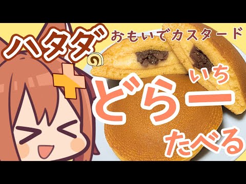 【咀嚼音ASMR】ハタダのお菓子食べる＆おなかの音 dorayaki/red bean pancakes/eating sound/drinking/whispering/sniff