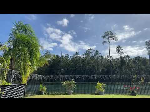 Two Hours [ ASMR ] Sunny Day 🌞 Windy Woods  [ Backyard Sounds ] Noise 🍃🍃🍃