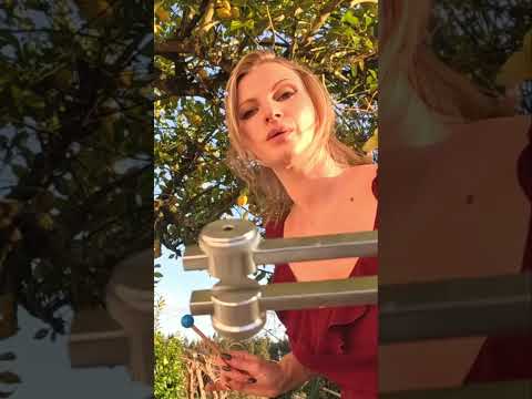 Unlock Higher Frequencies  ASMR Journey Under the Tree #tuningforks #softspoken #outdoorsasmr