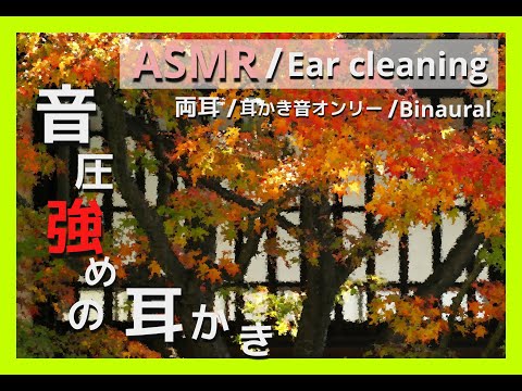 【ASMR/Ear Cleaning/Binaural】涼しくなった夜のおともに…【両耳版/耳かき音/イヤホン必須】