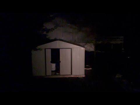 ASMR: Pure cricket sounds for 30 minutes and 1 second