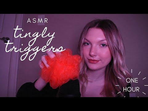 ASMR Assorted Triggers 1Hr