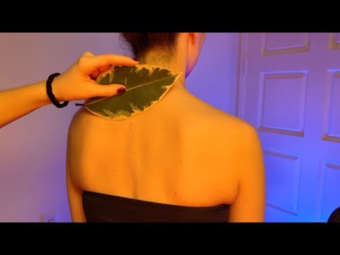 ASMR Best Scratches Ever! No Talking Real Person back scratch sounds with a leaf🍃