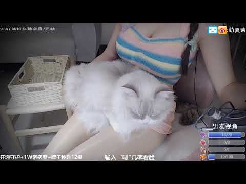 ASMR 2 Hours of Relaxing Triggers | XiaMo夏茉