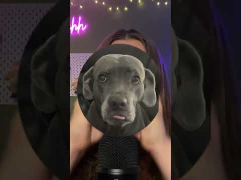 ASMR - 5 triggers in 10 Seconds!? #shorts #asmr