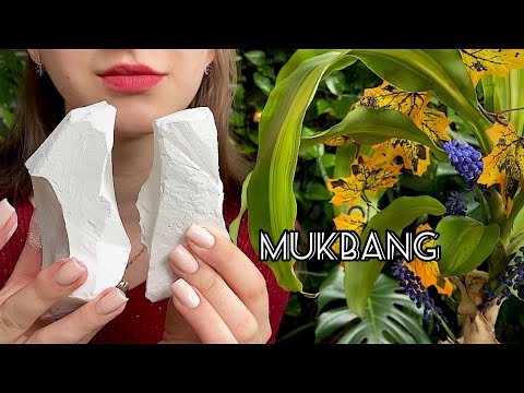 Безумно хрустящий Новый Оскол🌟// Insanely crispy New Oscol // MUKBANG