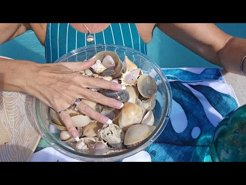 ASMR Sandy Seashells Getting a Rinse 🐚( gentle tapping, clinking and water trickling sounds.)
