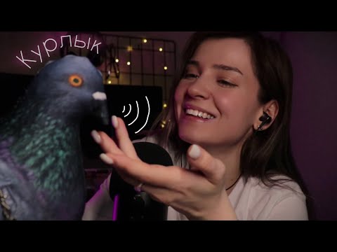 Рассказываю про безумные покупки [ASMR en russe sur mes achats bizarres]