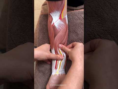Arm Massage #Shorts
