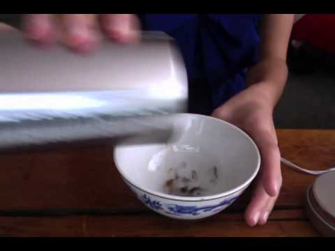 ASMR My entire loose-leaf tea collection at the moment. Show and Tell!
