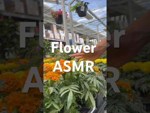 Playing with the flowers ASMR!!☺️💐