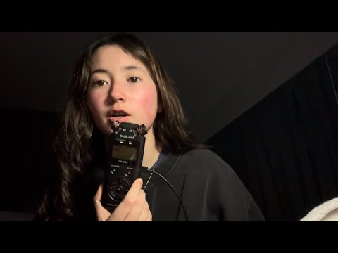 Sounds With The Tascam Mic In A Hotel (asmr)