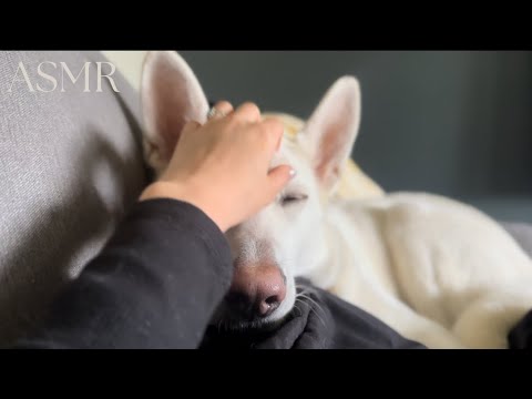 ASMR• With my Dog 🐶🐾