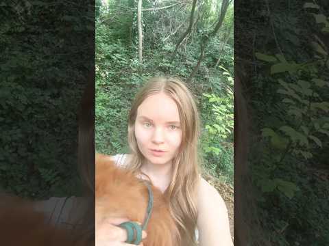 ASMR birds, girl and her dog🌿 #naturesounds #whispering #birdsounds