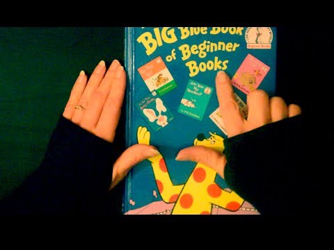 Asmr Reading Children's Story - A Fly Went By