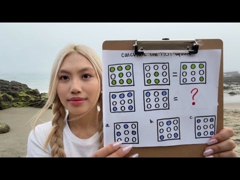 LOFI ASMR IQ test at the beach (public asmr)