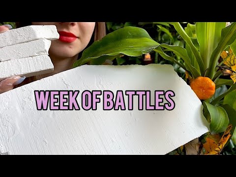 БАТТЛ🏆Севрюково// Battle, Sevrukovo// ASMR MUKBANG