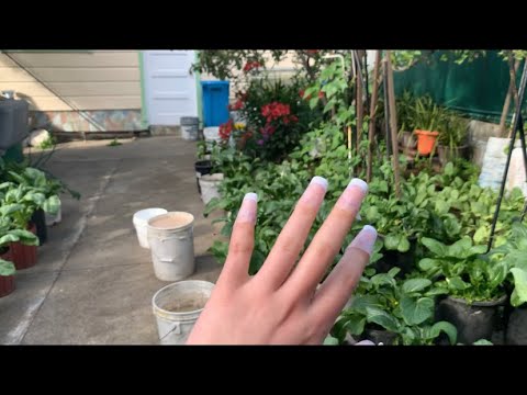 ASMR Camera Tapping in Backyard ✨