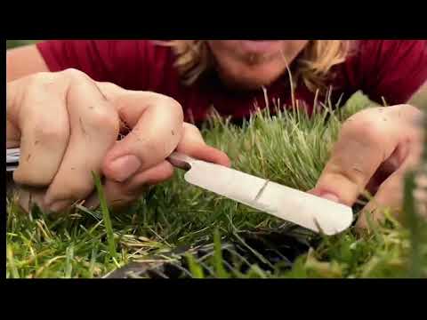 ASMR | How Barbers Cut Their Grass | Supercut
