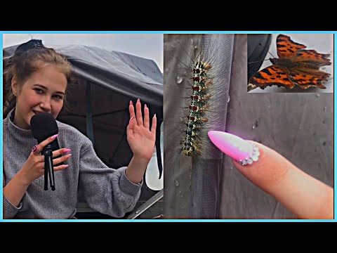 АСМР ТРИГГЕРЫ РАССЛАБЛЯЕМСЯ НА ПРИРОДЕ | ASMR TRIGGER RELAX IN NATURE