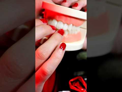 COMO SE LLAMAN LOS DIENTES EN ESPAÑOL? #asmr #shorts