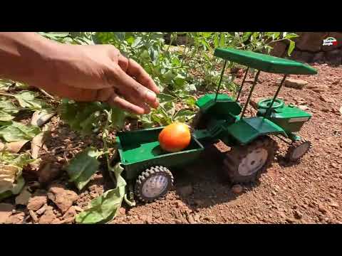 Diy mini tractor making agriculture cultivator for tomato Farming | swaraj tractor video