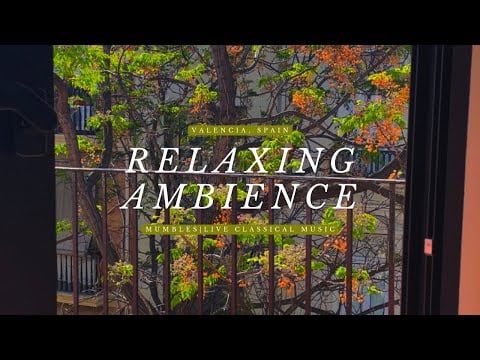 You’re sitting by your balcony in Spain |•ambience •classical live music •mumbles •sunshine & nature