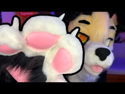 [Furry ASMR] 🐾 PAWS IN YOUR FACE :3 | Visual Triggers (Looped)
