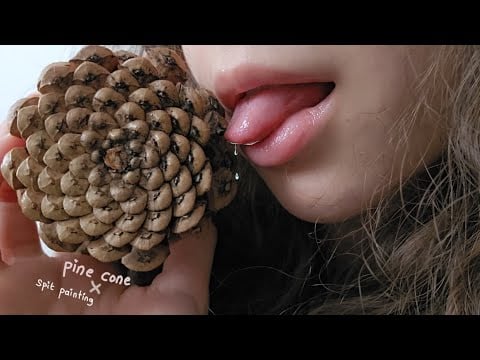 ASMR: Spit Painting YOUR FACE 🫵🏻 & Pine Cone • no talking • my favorite #asmr 12