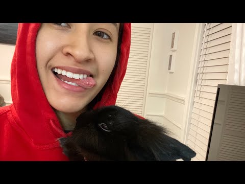 ASMR Eating Your Negative Energy ft. Bunny :)