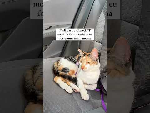 Chat GPT  #gatos #cat #petsfofinhos #gato #gateiraporamor #gatinhosfofos
