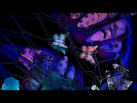 Spiderweb ASMR Anticipatory Walk Around Soft Spoken & Nature Soundscape