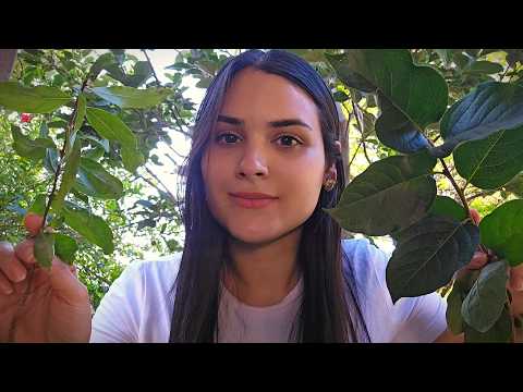 ASMR Removendo sua Energia Negativa ✨️ Limpeza PROFUNDA🍃