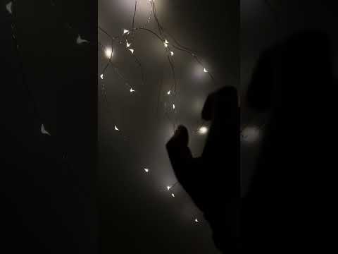 #asmr #asmrnotalking #asmrmouthsounds