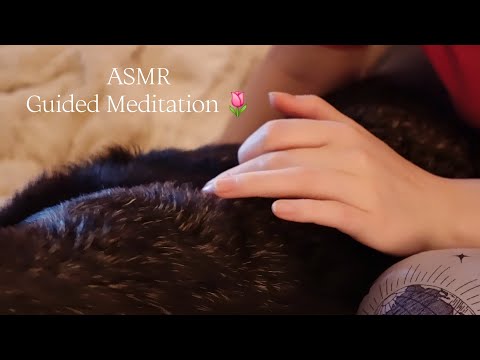 ASMR | Guided Meditation for Stress Relief🌷｡°✩ (Soft spoken)